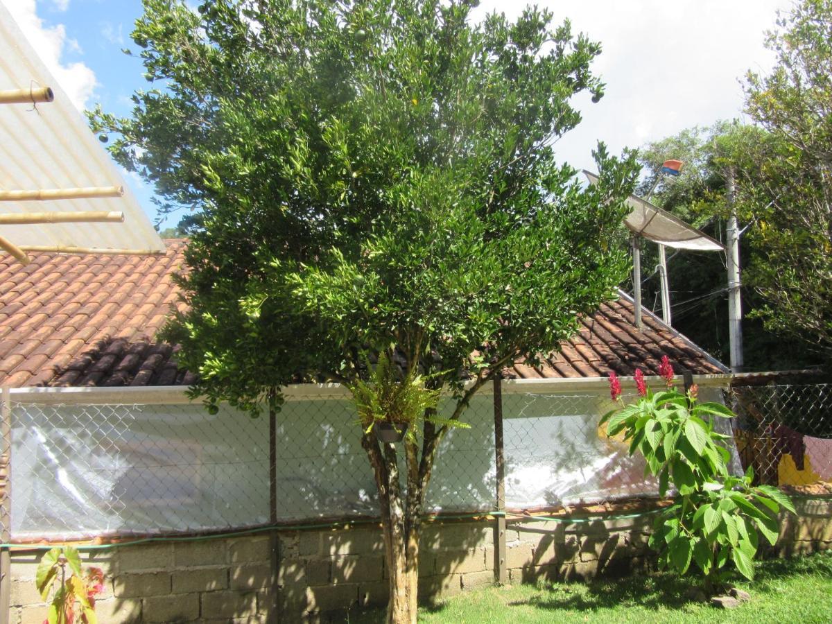 Santo Antônio do PinhalKitnet Santo Antonio别墅 外观 照片